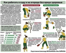 Почему работать в огороде более 3 часов нельзя Почему работать в огороде более 3 часов нельзя