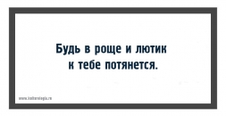 Растительный мир дикой природы Растительный мир дикой природы
