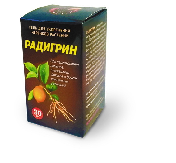 Радигрин Радигрин