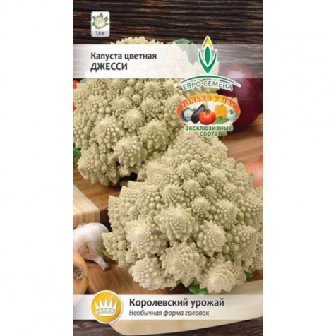 Капуста Романеско. Капуста Романеско.