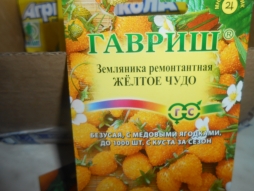 Что я делаю не так? Что я делаю не так?