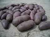 куплю картофель