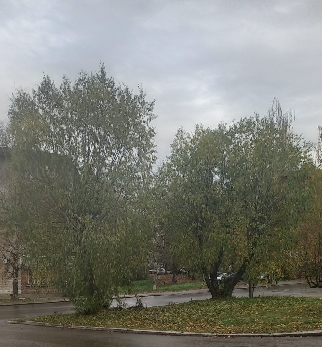 Вот она и пришла - эта Осень 2022года.. Вот она и пришла - эта Осень 2022года..