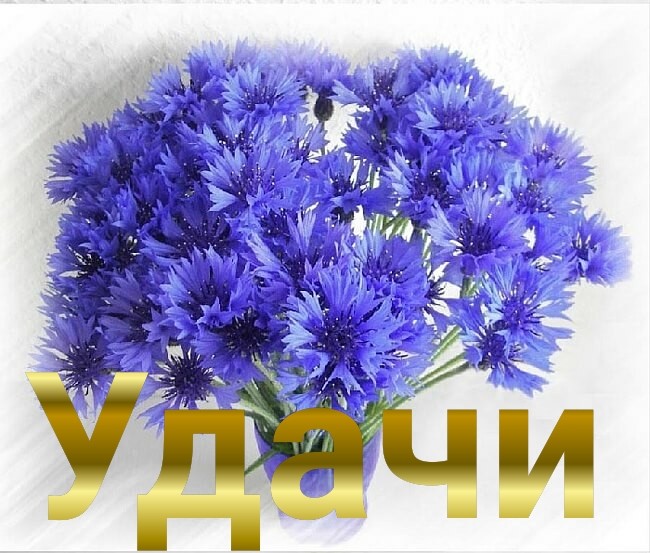 Именинникам! Именинникам!