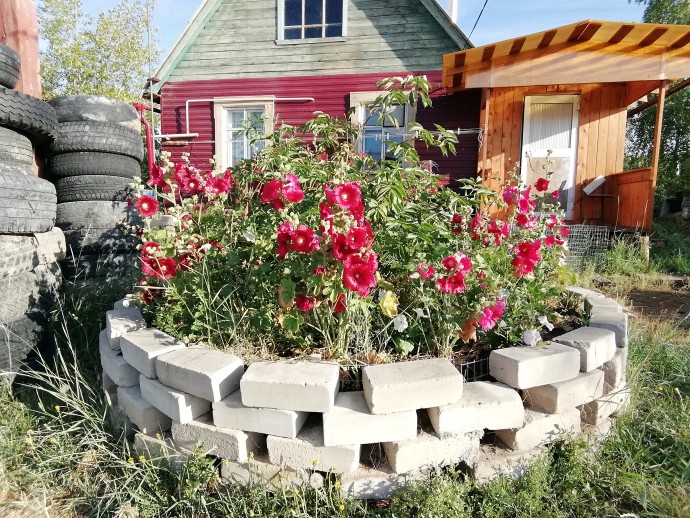 Якутия плюс 33 градуса