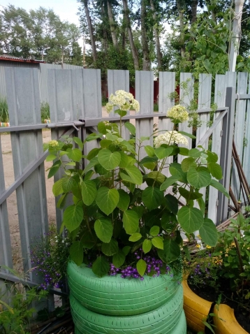 Любимый уголок Любимый уголок