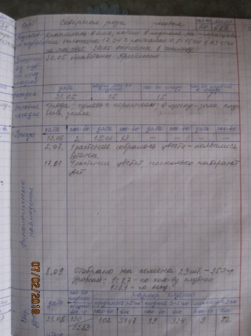 Садовый дневник Садовый дневник