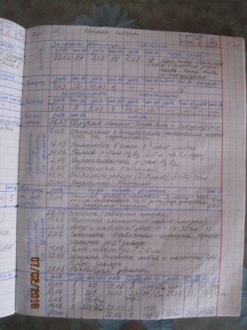 Садовый дневник Садовый дневник