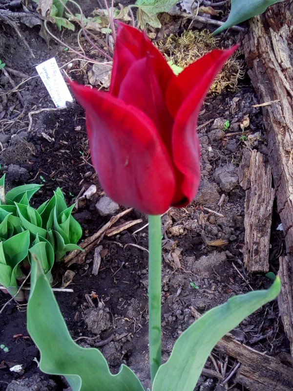 65f67955.jpg