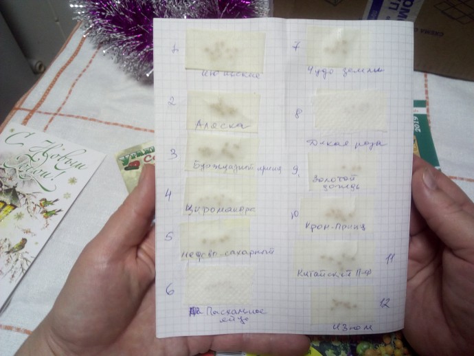 Дед Мороз гостит у меня Дед Мороз гостит у меня