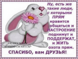 Поделитесь секретами выращивания герани Поделитесь секретами выращивания герани