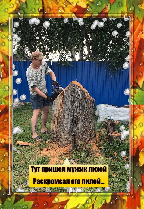 Стоял во дворе пенек Стоял во дворе пенек