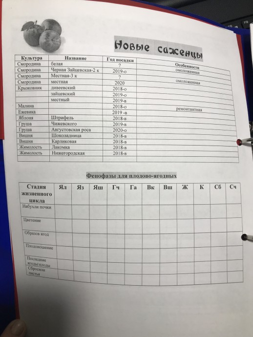 Дачное планирование-3 Дачное планирование-3