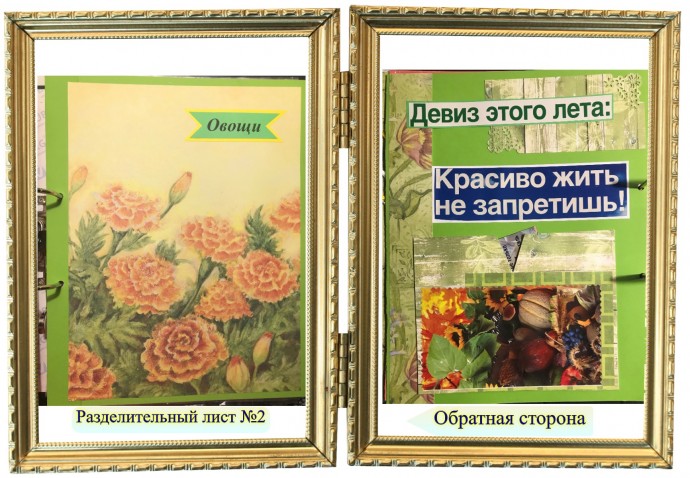 Дачное планирование-1 Дачное планирование-1