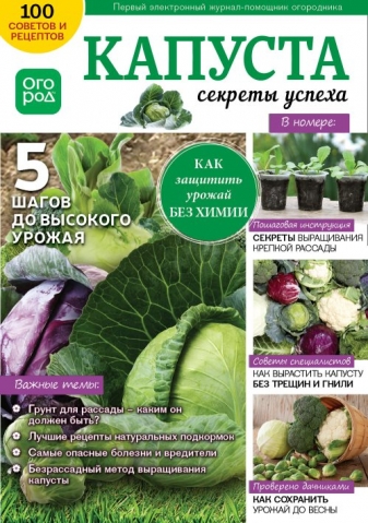 Капуста - секреты успеха
