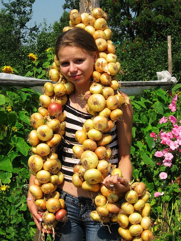 На нашей даче всем хорошо!