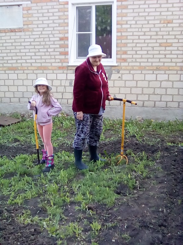 мои клумбочки мои клумбочки