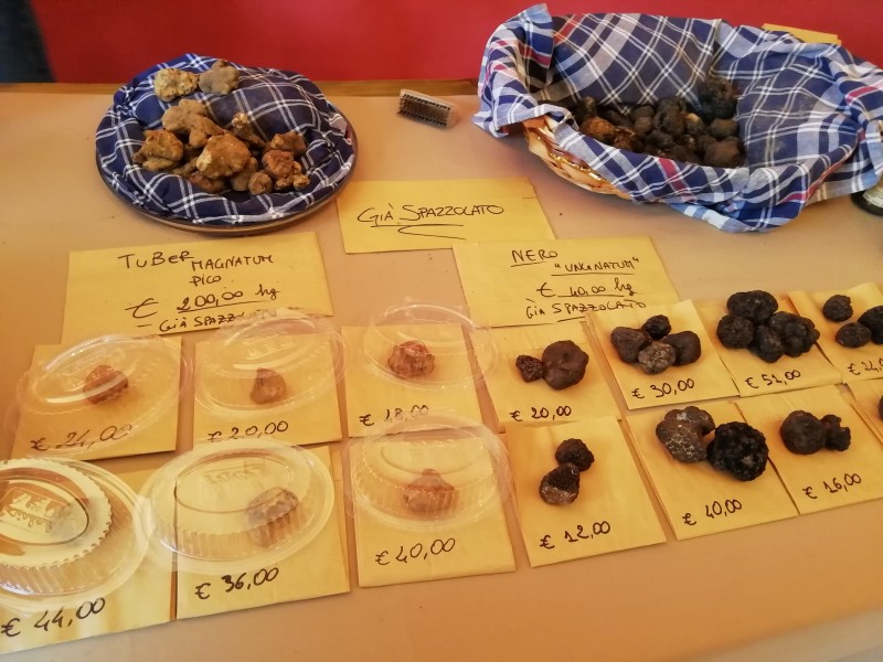 Выставки био продуктов в Италии. Выставки био продуктов в Италии.