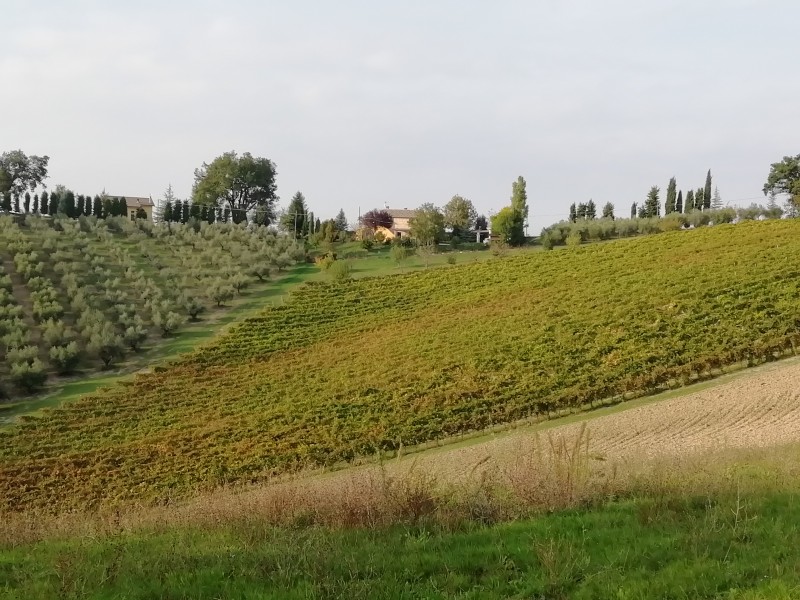 Осенние зарисовки. Италия Осенние зарисовки. Италия