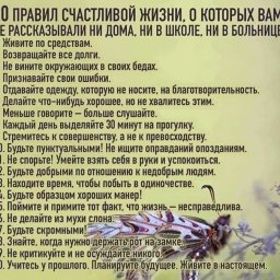 Елена Елена