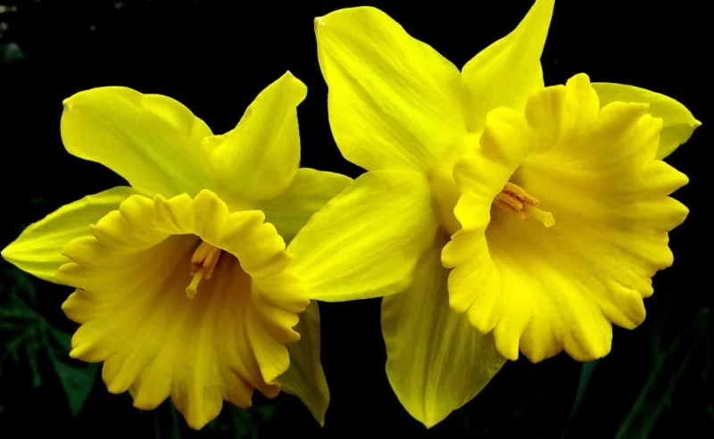 d576e316.webp