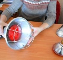 Содержание кур и их разведение: особенности, окупаемость, правила ухода и кормления основных пород Содержание кур и их разведение: особенности, окупаемость, правила ухода и кормления основных пород