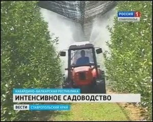 Импортозамещение по-русски: импорт упал на 38 %, а наше сельхозпроизводство возросло на 4 % Импортозамещение по-русски: импорт упал на 38 %, а наше сельхозпроизводство возросло на 4 %