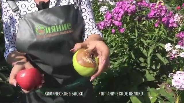 Принципы ленивого но высокоурожайного Природного Садоводства Принципы ленивого но высокоурожайного Природного Садоводства