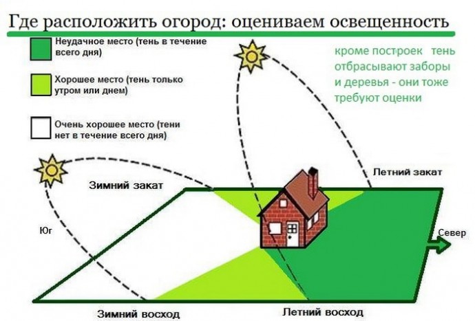 7 способов сэкономить в саду и огороде, чтобы на разницу съездить в отпуск 7 способов сэкономить в саду и огороде, чтобы на разницу съездить в отпуск