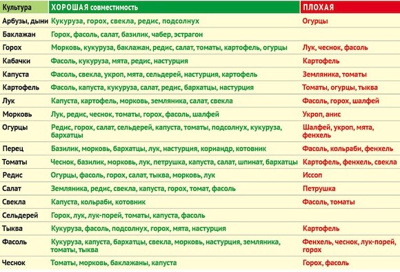 ​Таблица совместимости растений