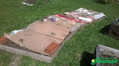 Как без труда поднять целину? Как без труда поднять целину?