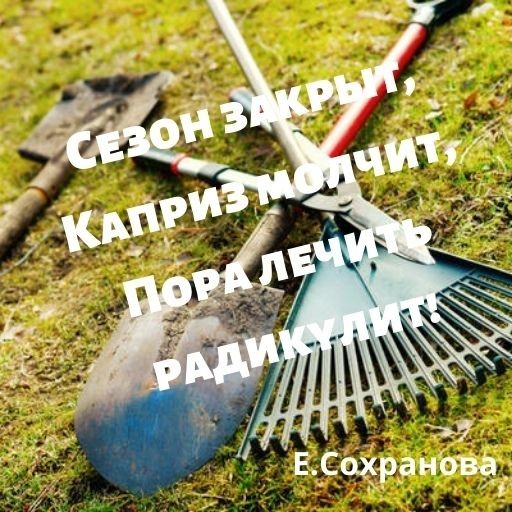 Капризный сад Капризный сад