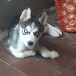 анна