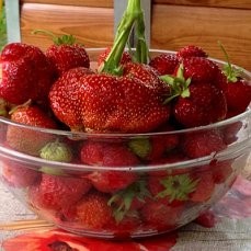 Еще раз о клубнике. Еще раз о клубнике.