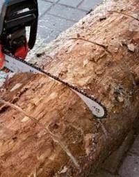 Как сделать цветущее бревно Как сделать цветущее бревно