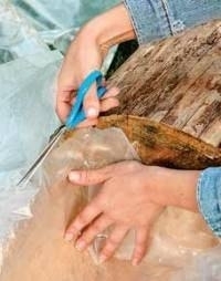 Как сделать цветущее бревно Как сделать цветущее бревно