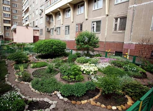Цветник у подъезда Цветник у подъезда