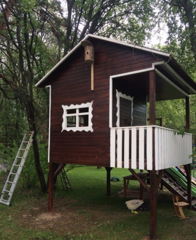 Мечта каждого ребенка Мечта каждого ребенка