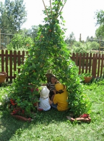 Живые беседки