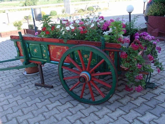 Цветники в телегах и тачках.