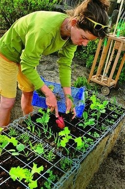 Создаём высокую овощную грядку из габионов Создаём высокую овощную грядку из габионов