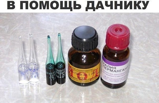 В помощь дачнику В помощь дачнику