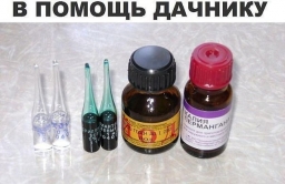 В помощь дачнику В помощь дачнику
