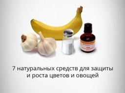 7 натуральных средств для защиты и роста цветов и овощей 7 натуральных средств для защиты и роста цветов и овощей