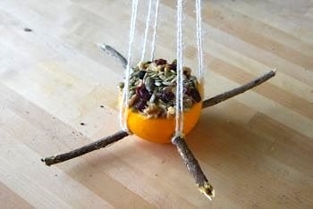 Кормушки для птиц из апельсиновых корочек Кормушки для птиц из апельсиновых корочек