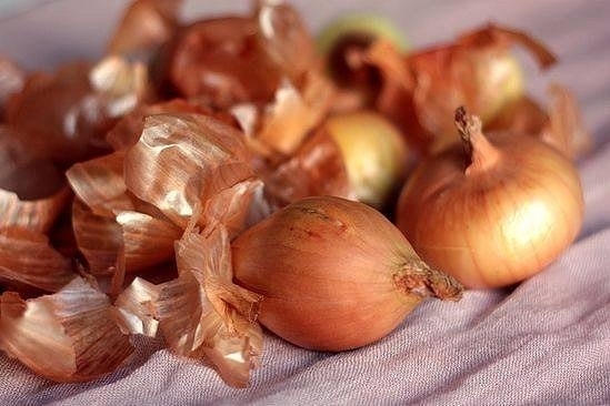 Борьба с морковной мухой