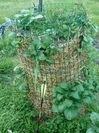 Башня для картофеля Башня для картофеля