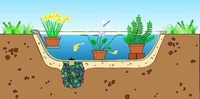 Пруд из старой ванны Пруд из старой ванны