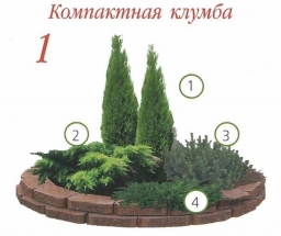 Клумбы с хвойными растениями! Клумбы с хвойными растениями!