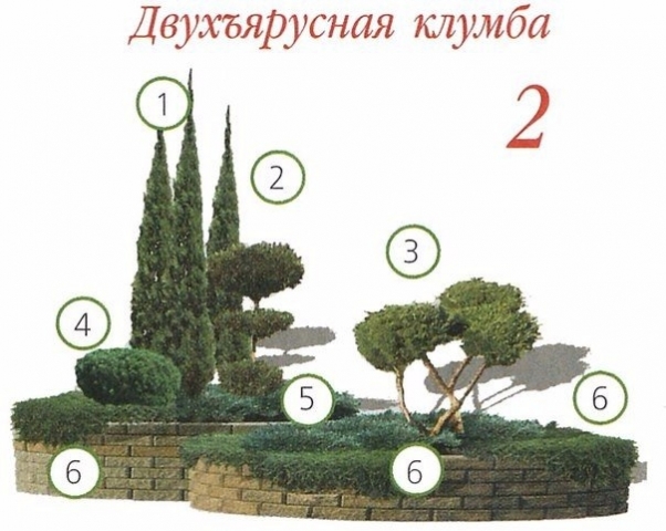 Клумбы с хвойными растениями! Клумбы с хвойными растениями!